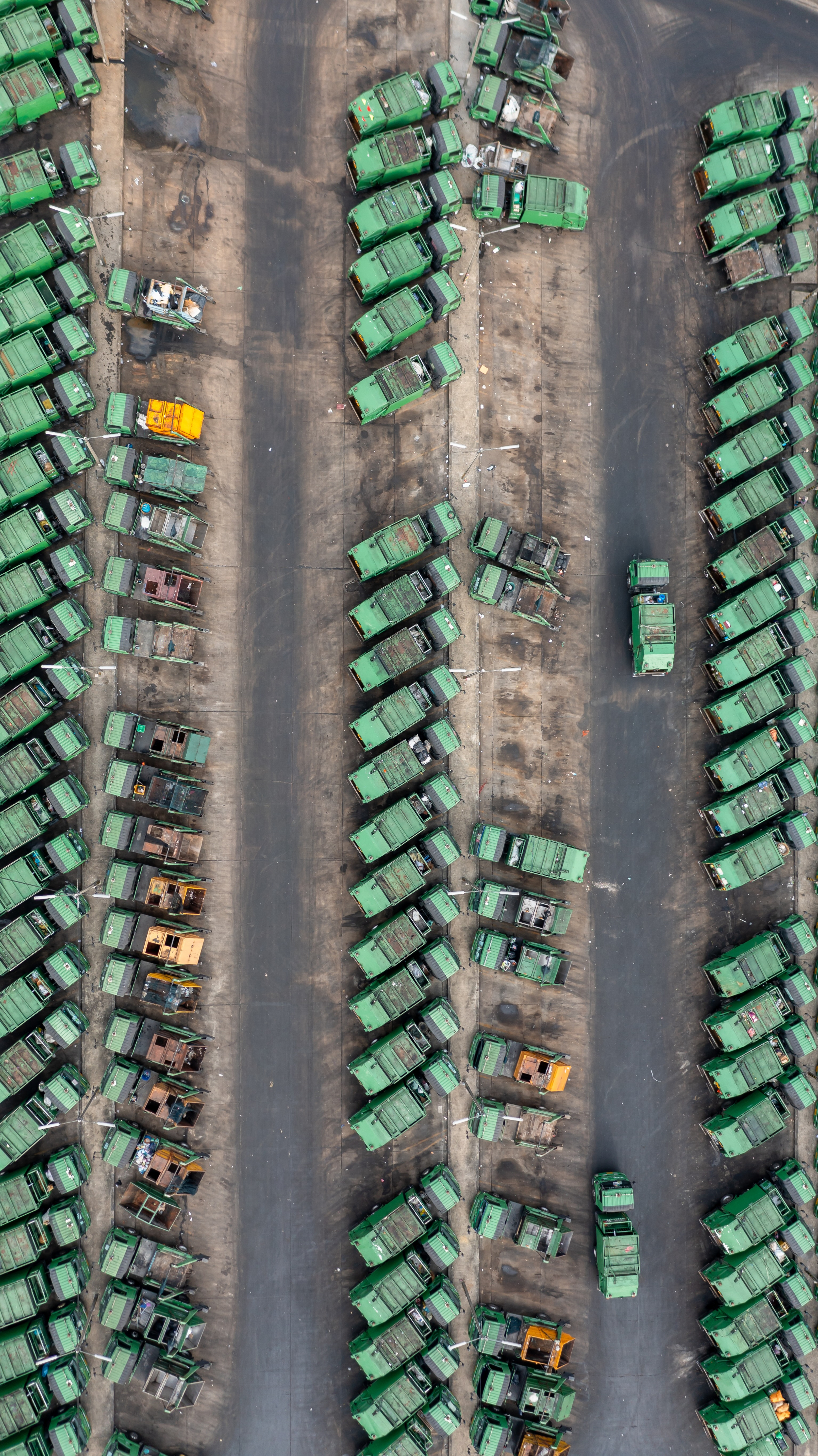 Data points on top of landscape